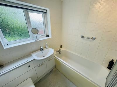 Picture 15